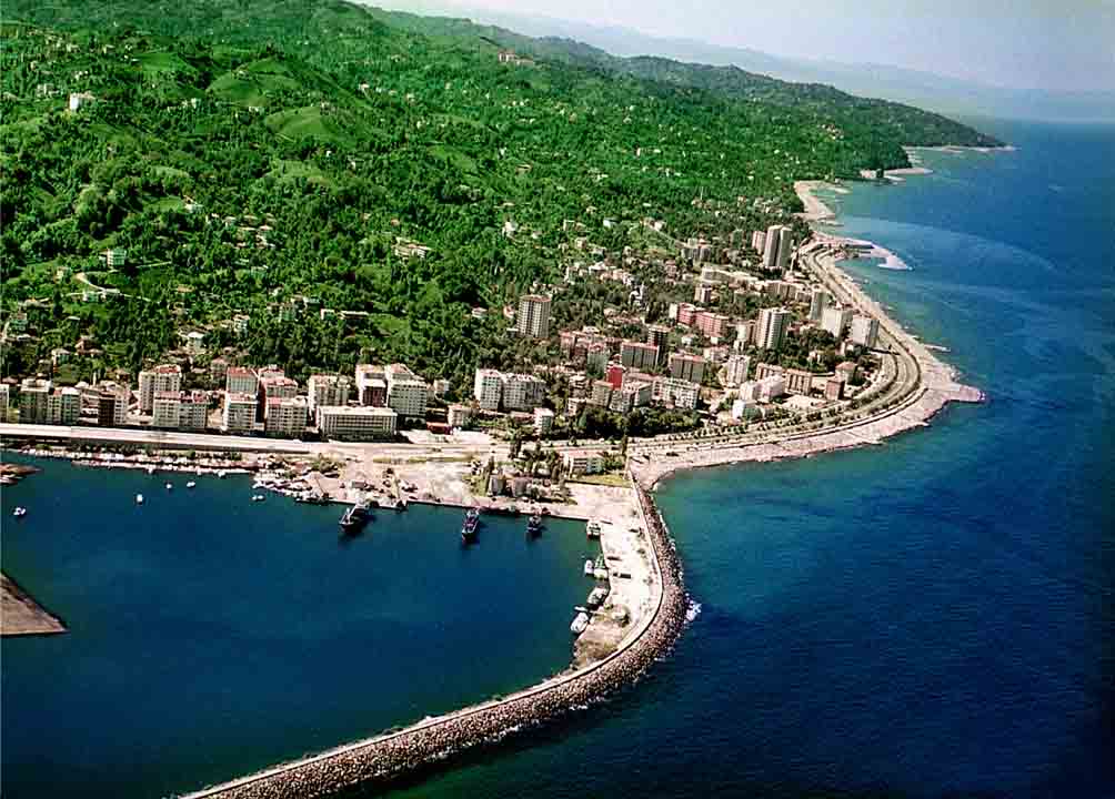 rize2.jpg